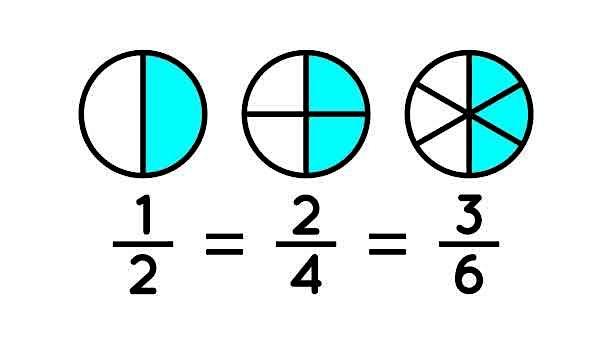Deepen your understanding of the varied types of multiplication and division and the interconnected relationship between these operations.